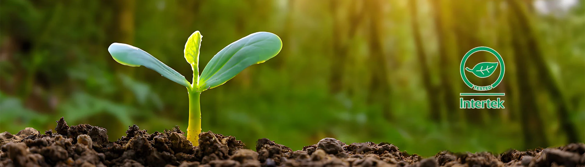 Notre tissu de crème solaire bio-dégradée