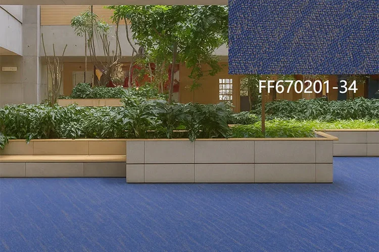 Ondulation de l’éducation